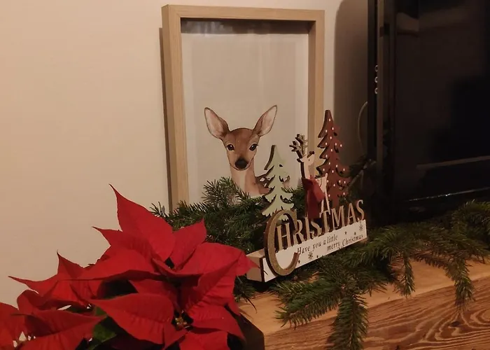 Malice * Wittelsheim